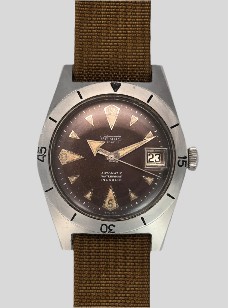 Venus tropical diver