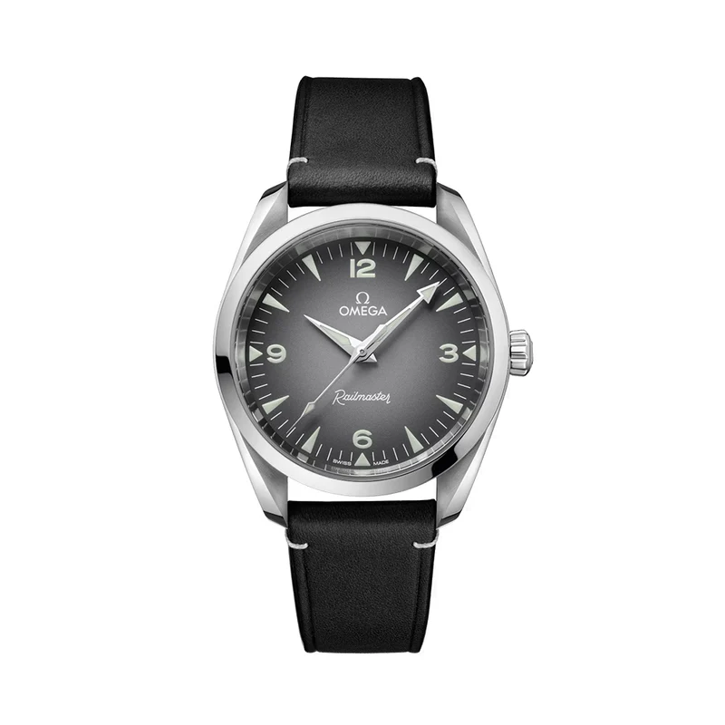 Seamaster Railmaster 38mm - Grey on Leather Strap
