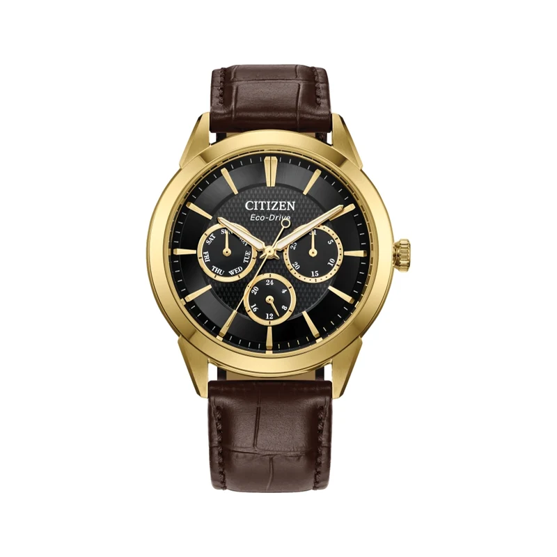 Rolan Gold-Tone 40mm - Black on Leather Strap