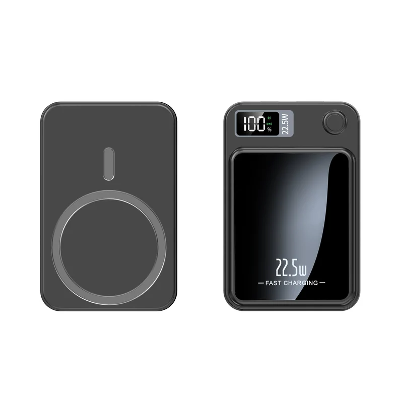 LuxCharge Elite Power Bank | Ultra-Sottile Caricatore 20000mAh